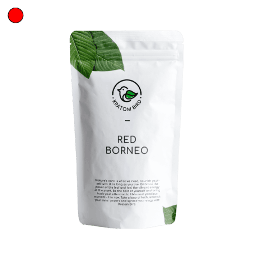 Red Borneo Rokok Kratom groothandel | Laboratorium geteste premium producten